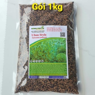 Hạt Giống Cỏ Stylo – Dinh Dưỡng Cao