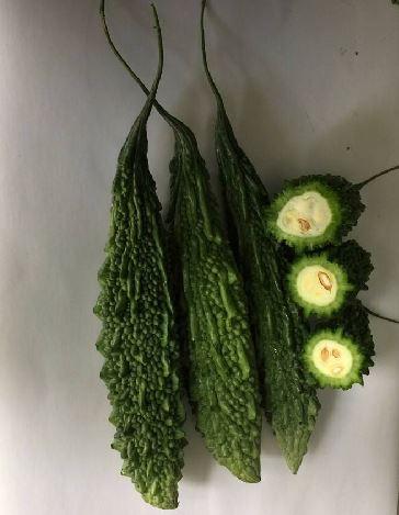 Gói 1g hạt giống khổ qua F1 - trái lớn xanh đậm