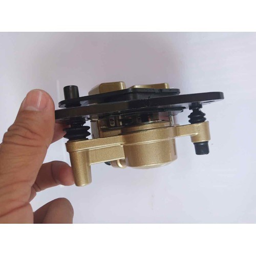 Heo dầu trước Sirius hàng công ty
