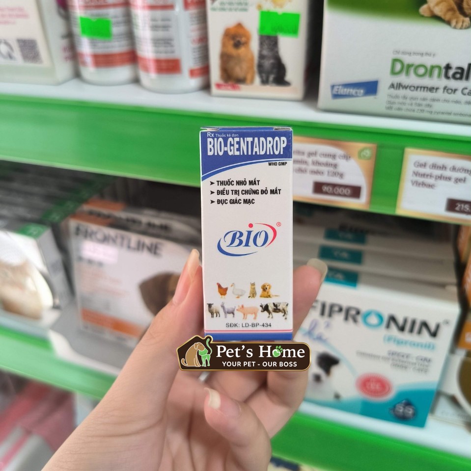 Nhỏ mắt Bio-Gentadrop cho chó mèo
