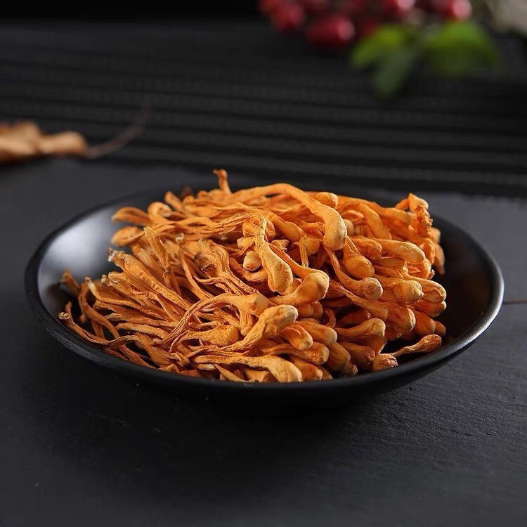 Đông Trùng Hạ Thảo 1kg - Hương Thảo Mộc