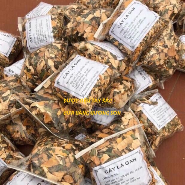 CÂY LÁ MÁT GAN - DƯỢC LIỆU TÂY BẮC (1KG)