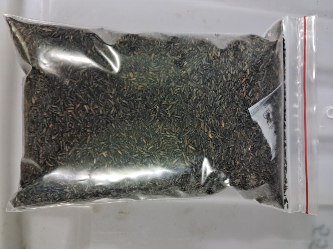 Hạt niger kích cồ chim sinh sản