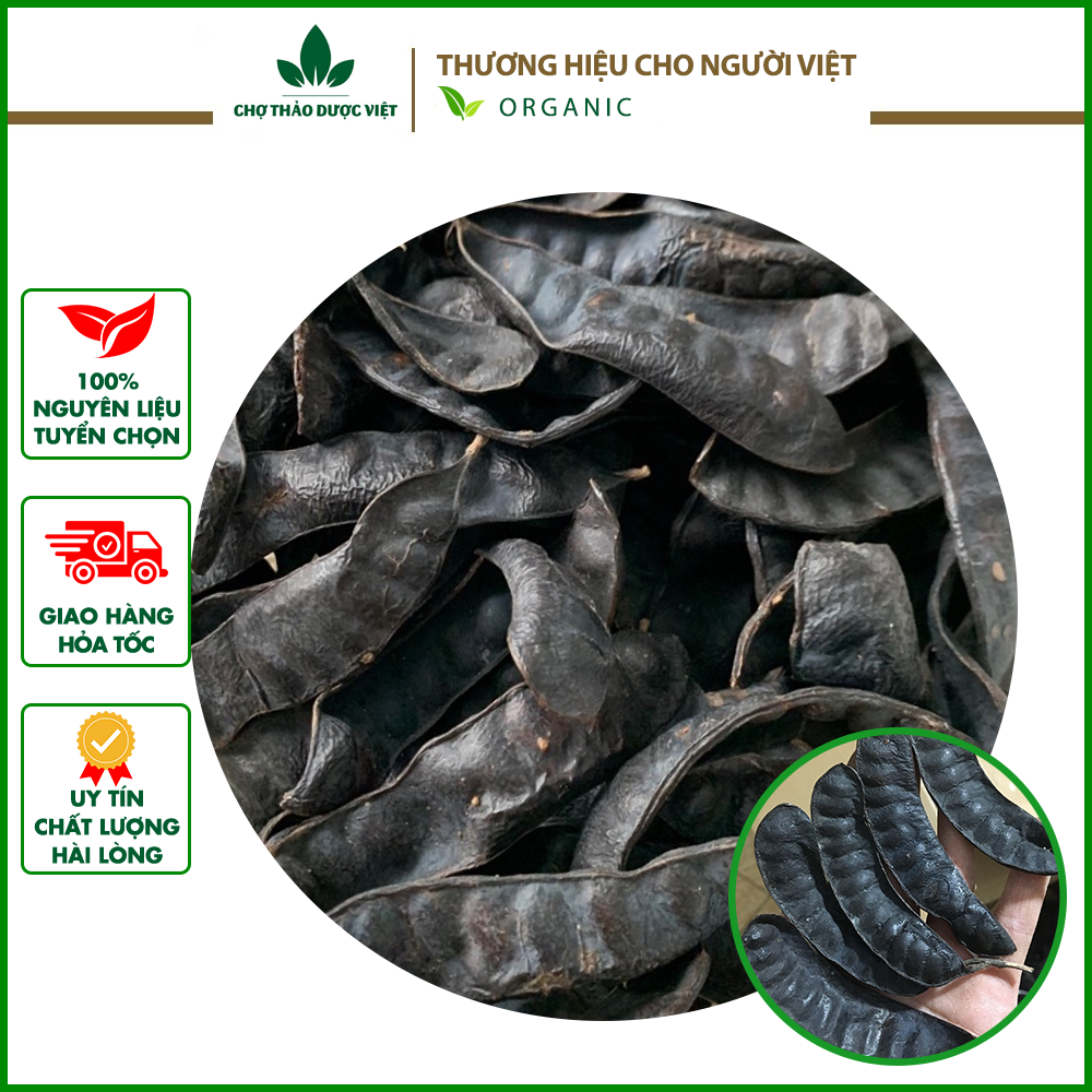 Trái bồ kết gội đầu 100g - chợ thảo dược việt