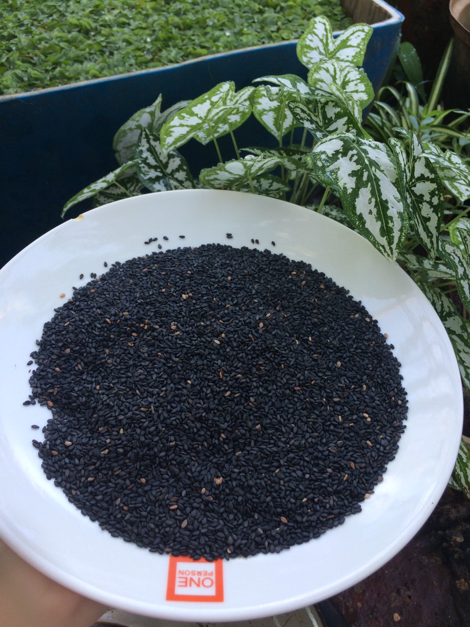 Mè trắng, mè đen túi 100g