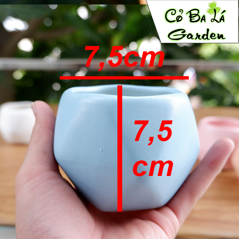 chậu sứ bát tràng hình Quả Trám