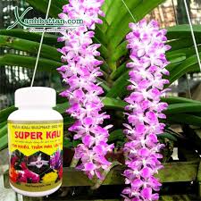 Phân bón Super kali