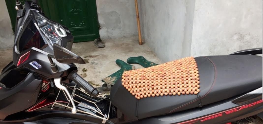 Đệm/ miếng lót hạt gỗ yên xe máy