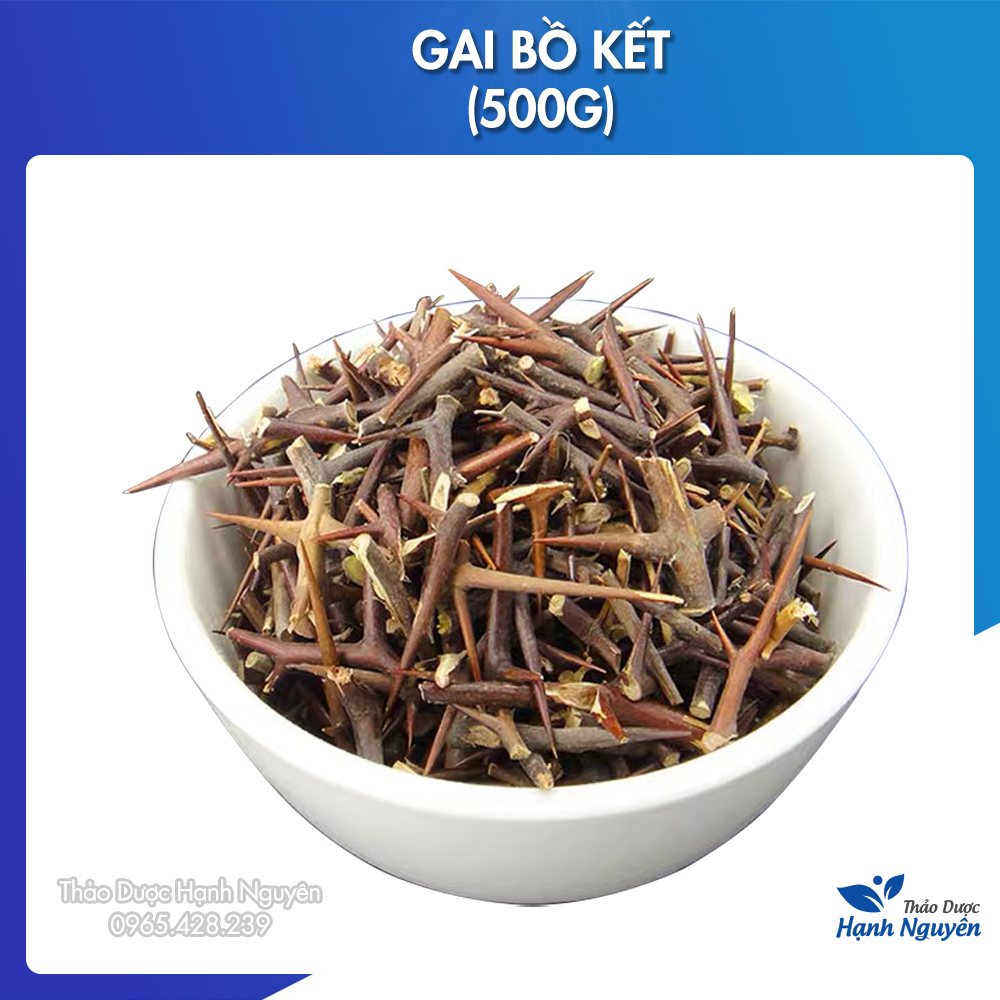 Gai bồ kết khô 500g