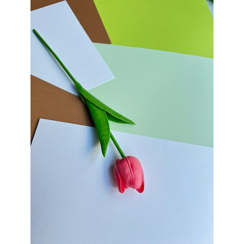 Hoa tulip cao su non mini
