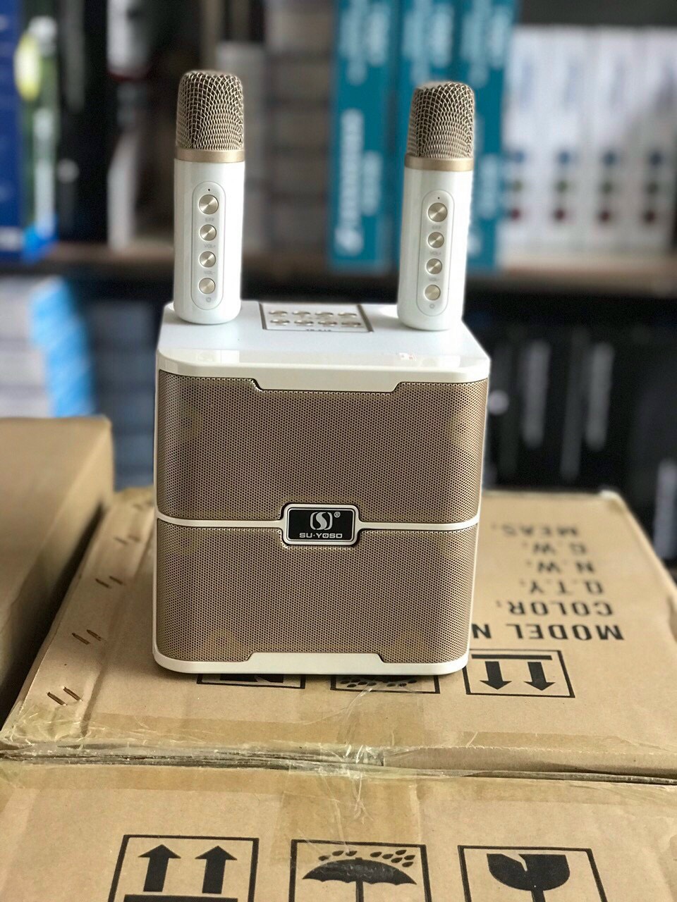 Loa karaoke mini kèm 2 mic YS213