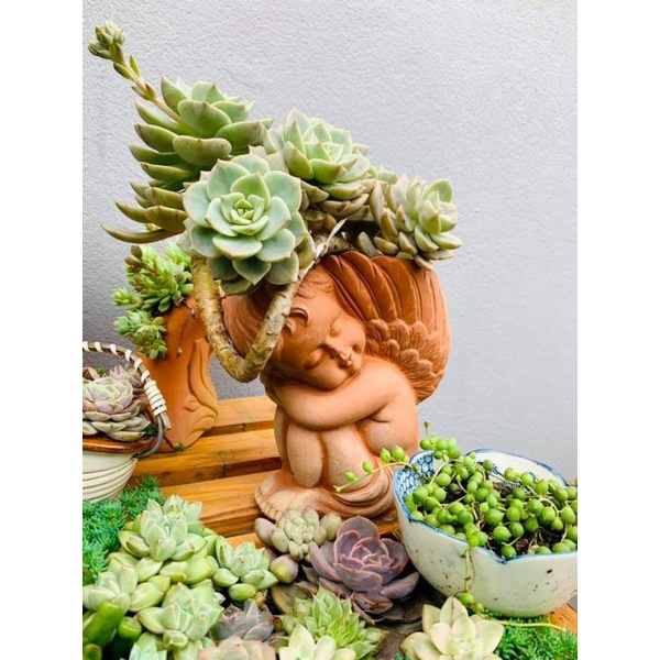 Chậu đất nung hình thiên thần nhỏ