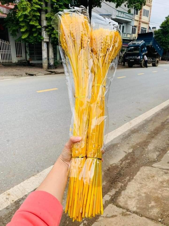 [CÓ QUÀ TẶNG] 100 Bó Hoa Bông Lúa Mạch Khô Decor Trang Trí