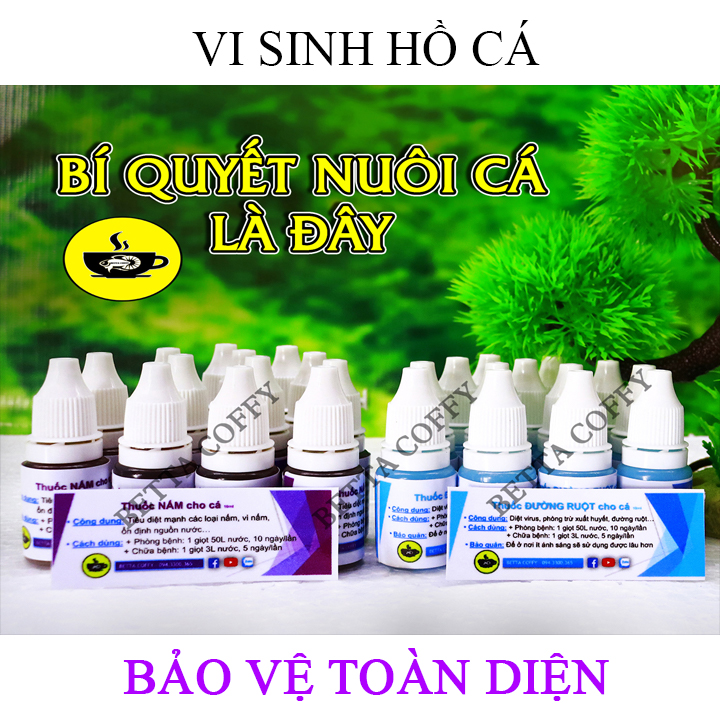 100g Oxy Viên Sủi Đậm Đặc - Cung Cấp O2 cho Cá