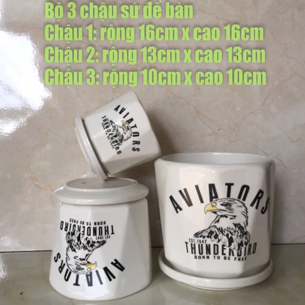 Bộ 3 chậu sứ cao cấp để bàn.