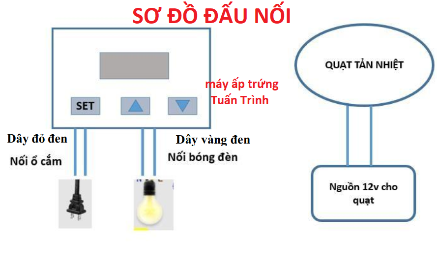 Máy ấp trứng mini tự chế