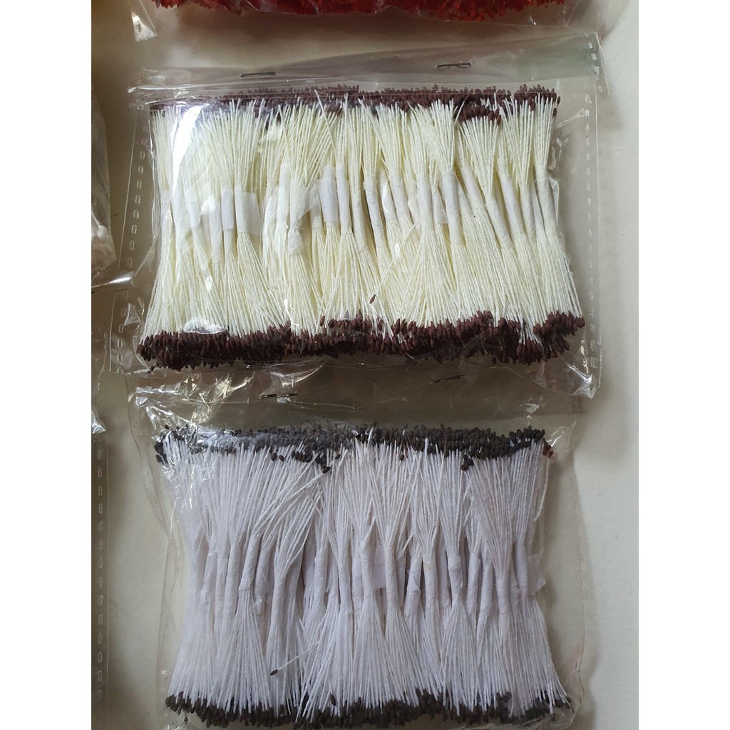 NHỤY HOA (NHỤY CHỈ) đầu nhỏ