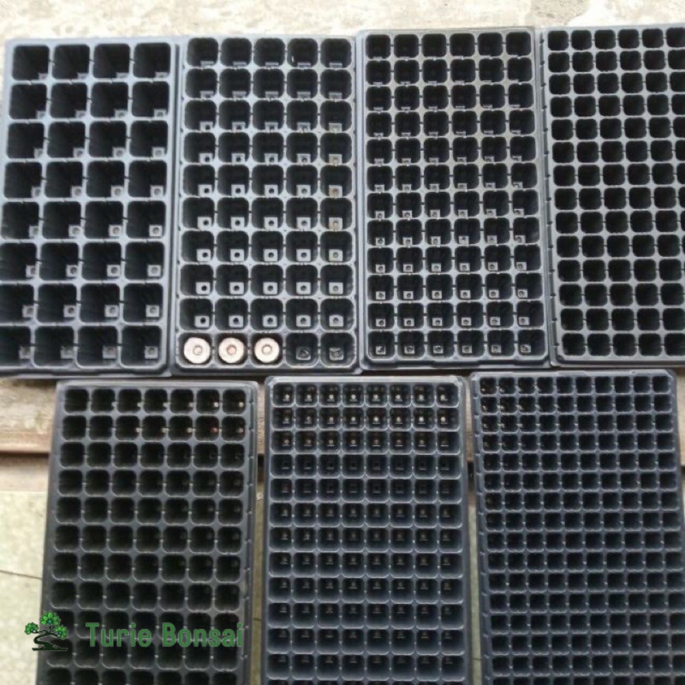 Khay ươm mầm vỉ ươm hạt cây mầm các cỡ