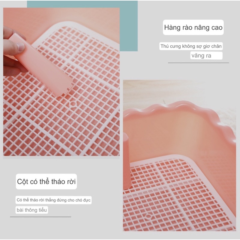 Khay Vệ Sinh Cho Chó Có Cột Size To
