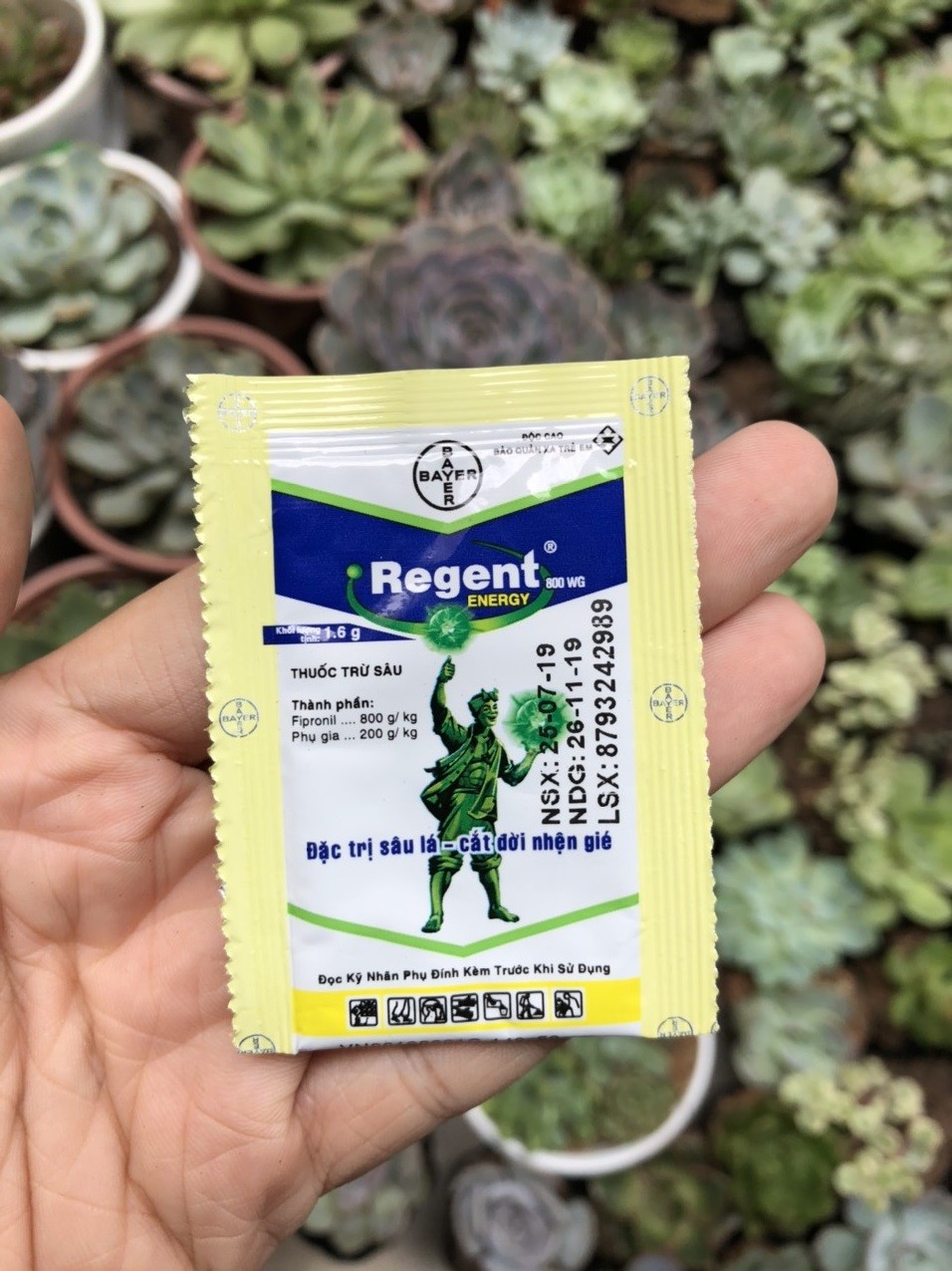 Thuốc trừ sâu diệt kiến Regent cho lan