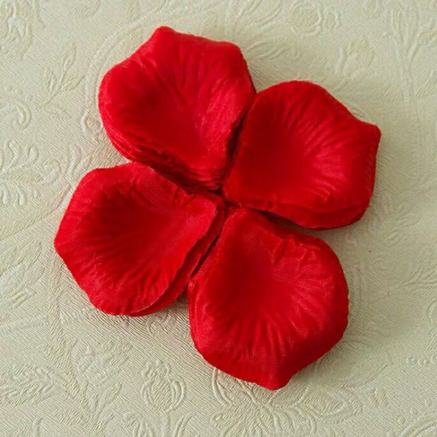 Set 100 cánh hoa hồng trang trí