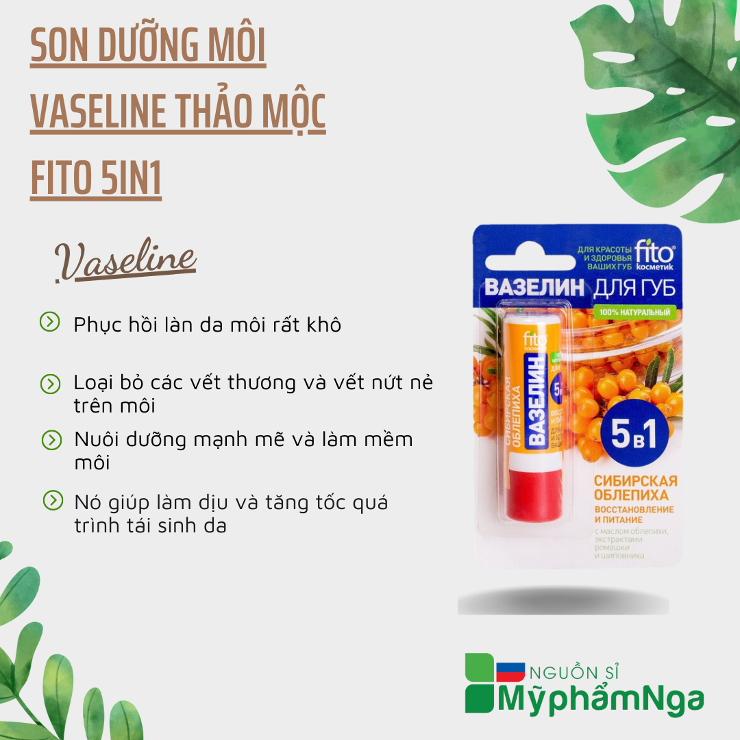 Son dưỡng môi Vaseline thảo mộc Fito 5in1