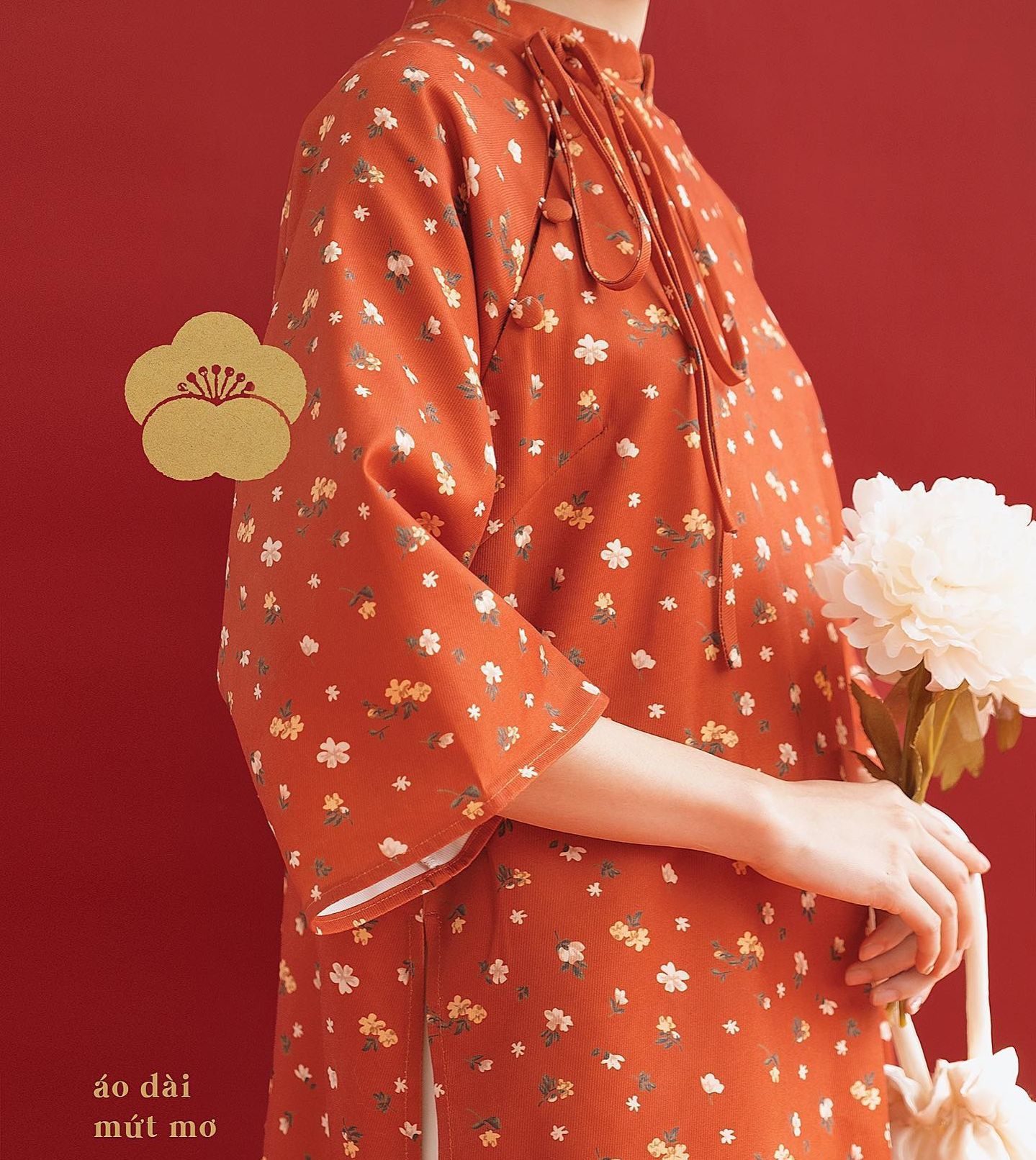 Set áo dài (kèm quần) Naked by V - Mứt Tết