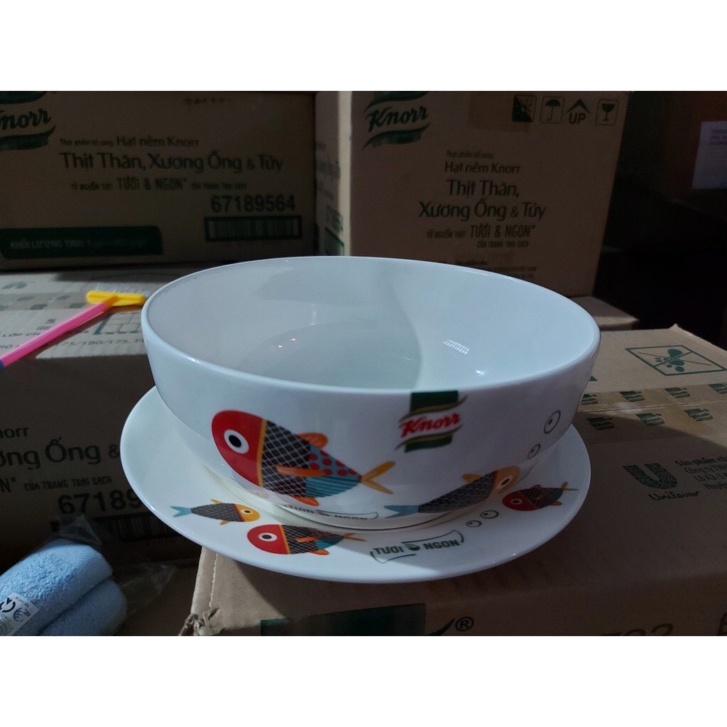 Tô - đĩa sứ hoạ tiết cá 18cm - 20cm