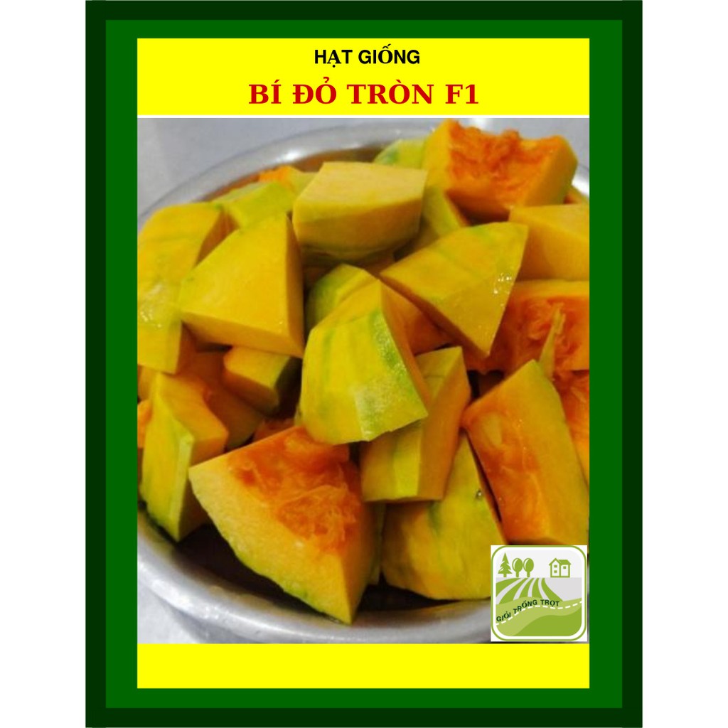 Hạt Giống Bí Đỏ Tròn F1 - 2G