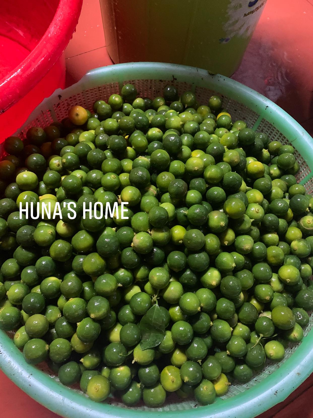 SIRO HO THẢO MỘC HUNA