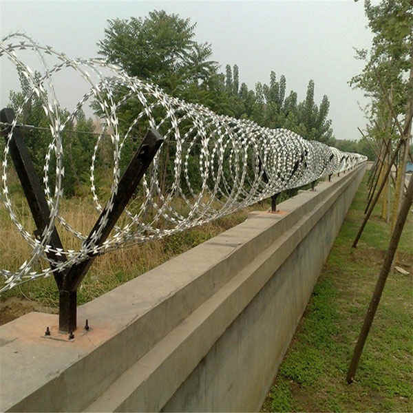 Dây thép gai lưỡi dao
