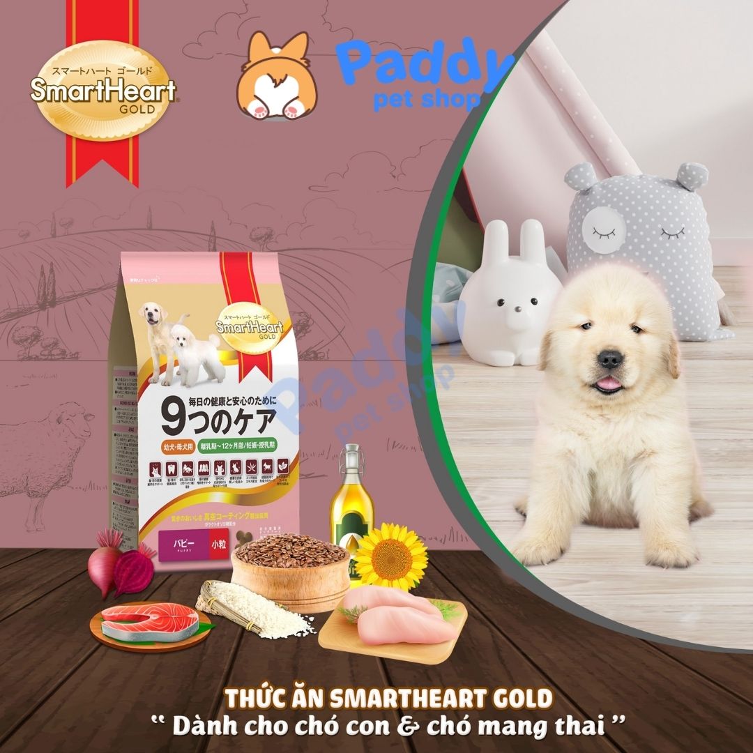 Hạt Cho Chó SmartHeart Gold Cao Cấp Vị Cừu & Gạo