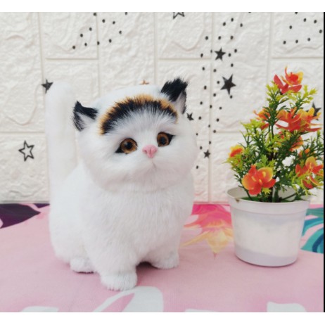 [HCM]Mèo con nhồi bông phát tiếng kêu