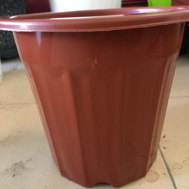 10 chậu nhựa nâu e280 - chậu trồng cây cảnh bền đẹp