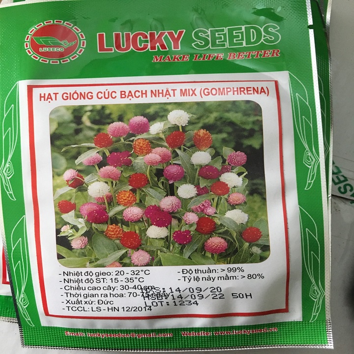Hạt giống hoa Cúc Bạch Nhật mix