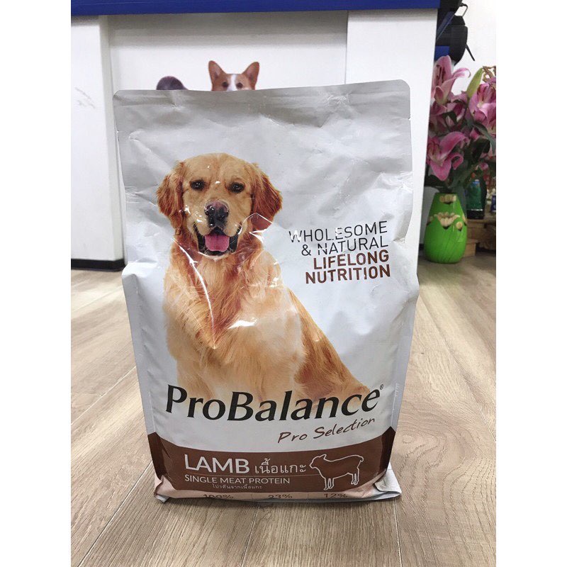 Thức ăn cho cún cao cấp Probalance(túi 3.2kg)