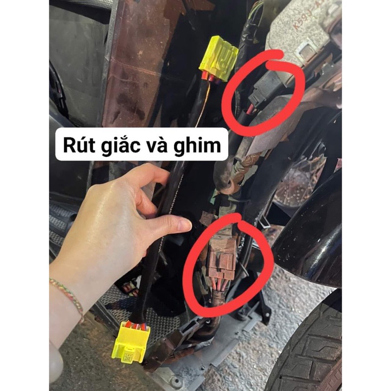 Dây giắc ghim mâm lửa ecu ic vario 2015 2016 2017 2018 2019 2020