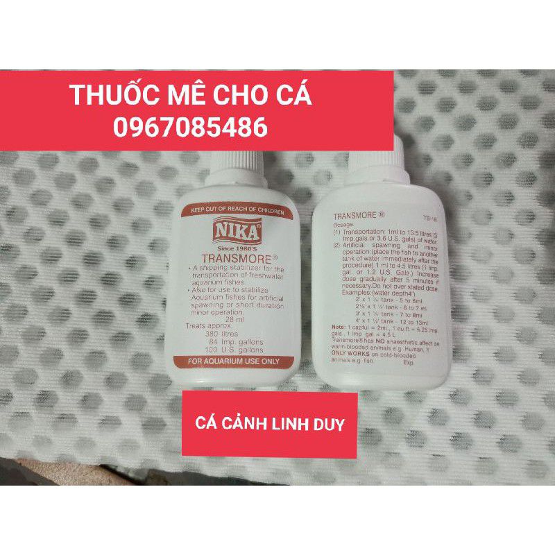 Gây mê cho cá cảnh nika - vận chuyển cá koi cá rồng