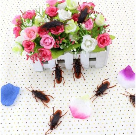 [COMBO 3 Con] Đồ chơi con gián độc đáo - Đồ chơi mô phỏng động vật cho bé