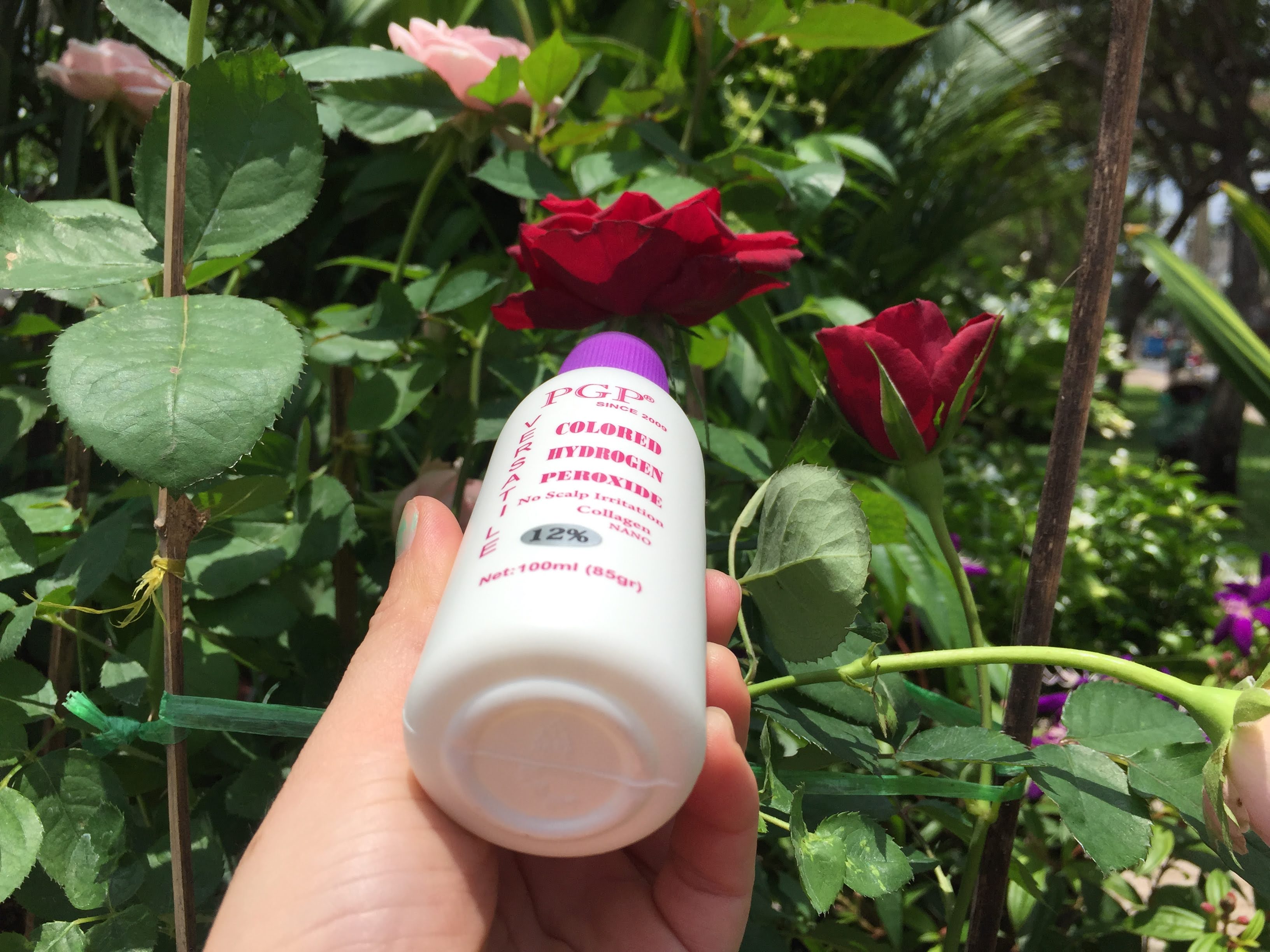 1 chai dung dịch Oxy trợ nhuộm tóc PGP 12% 100 ml