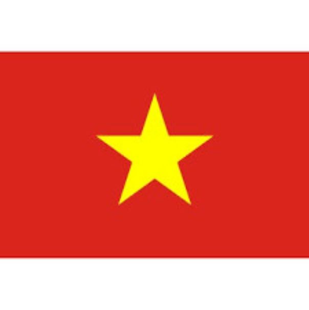 LOGO ủi nhiệt-mẫu logo cờ  đỏ Việt Nam