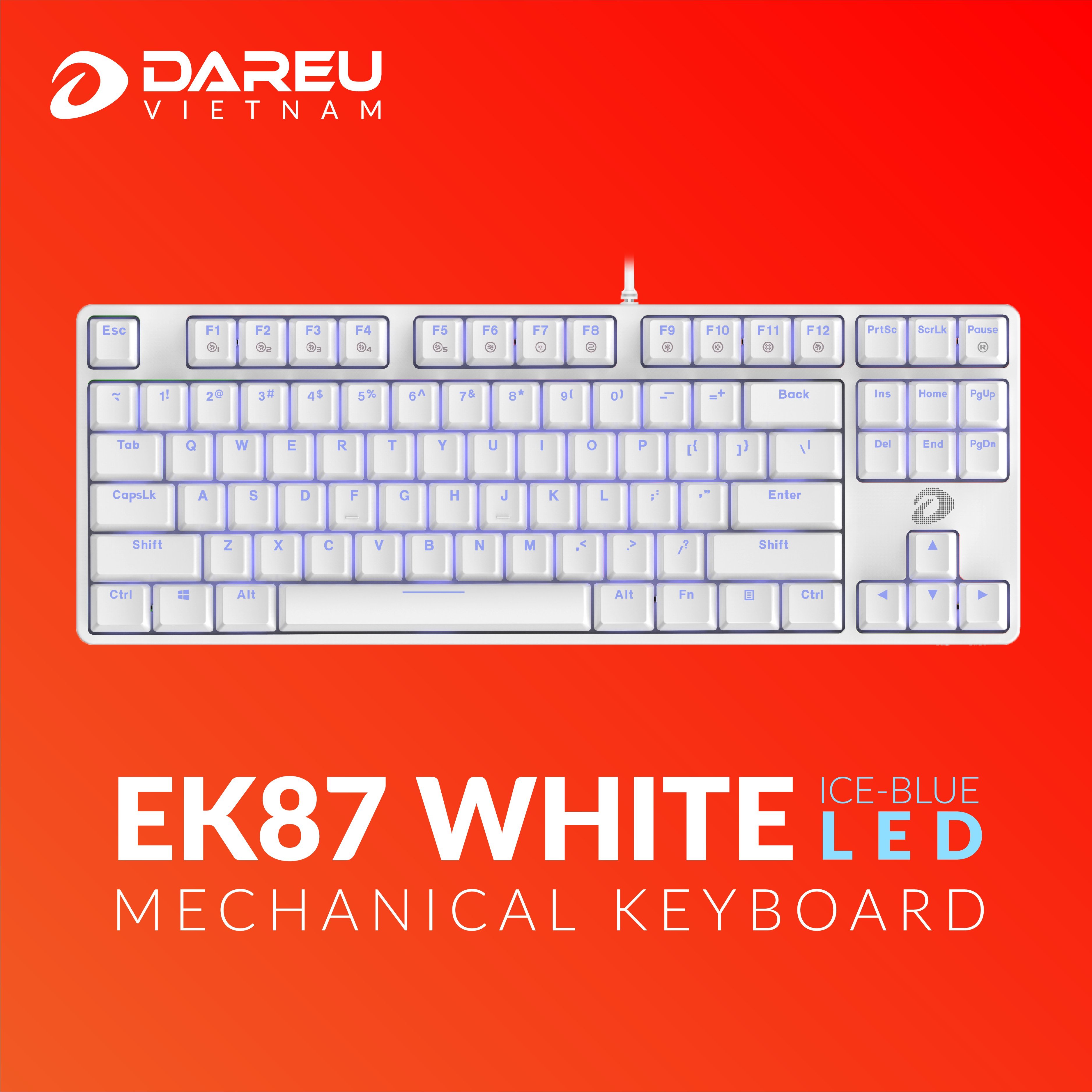 Bàn phím cơ DAREU EK87 Trắng White (Blue/ Brown/ Red D switch)