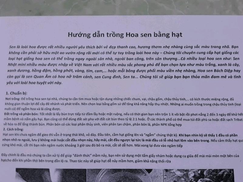 Hạt sen khô đồng 500gr (Đồng Tháp)