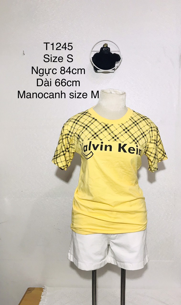 Áo Thun Nữ (Hàng Đuôi Giá Rẻ) Hàng Si Nhật Hàn Chất Cotton Cho Mùa Hè