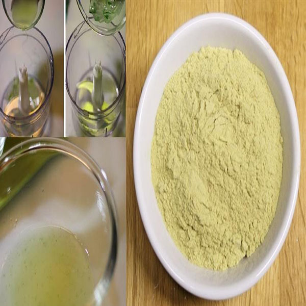 Bột nha đam nguyên chất 100g cao cấp