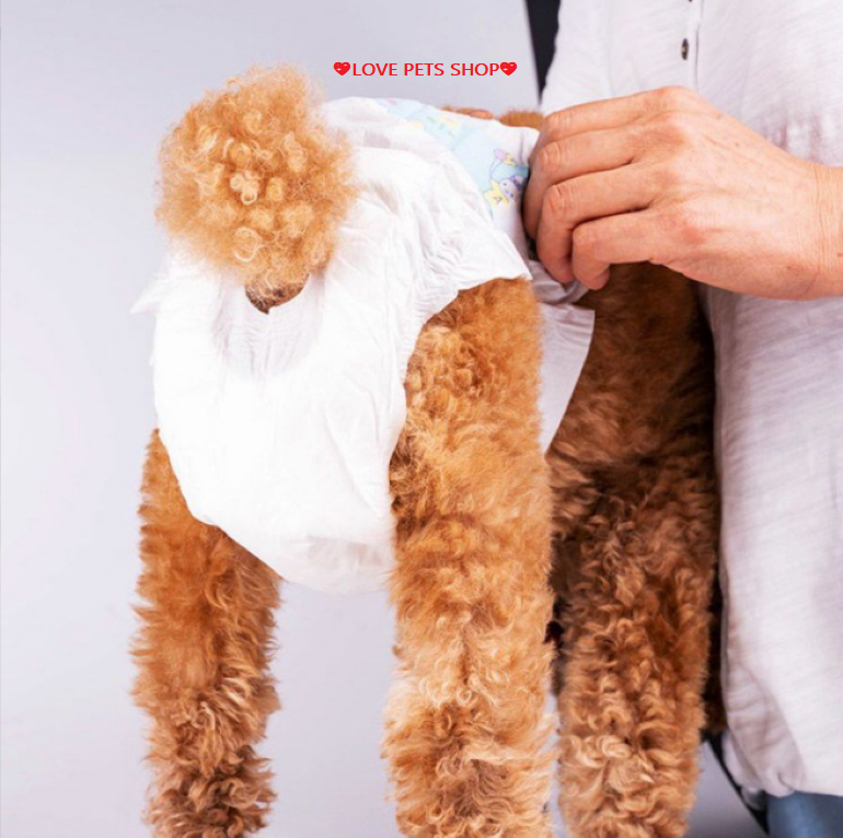 Bỉm quần cho Chó Mèo, tã dán cho Mèo loại tốt - Love Pets Shop