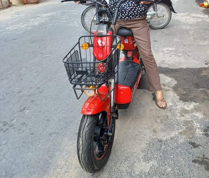 Giỏ xe máy điện 133s
