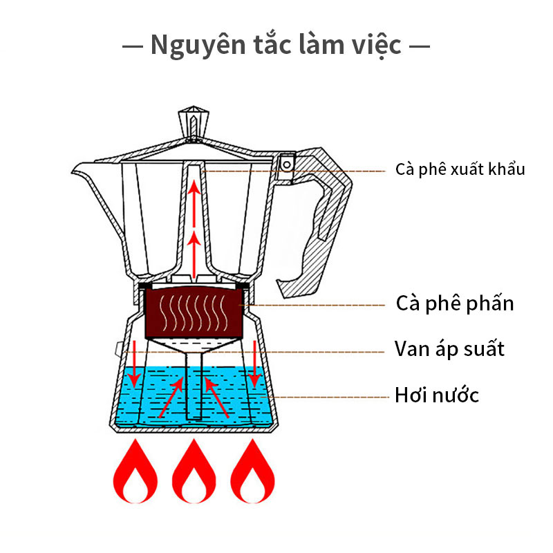 Bình pha cà phê 300ml Moka Pot Ấm pha cà phê moka Chất lượng cao Coffee kettle