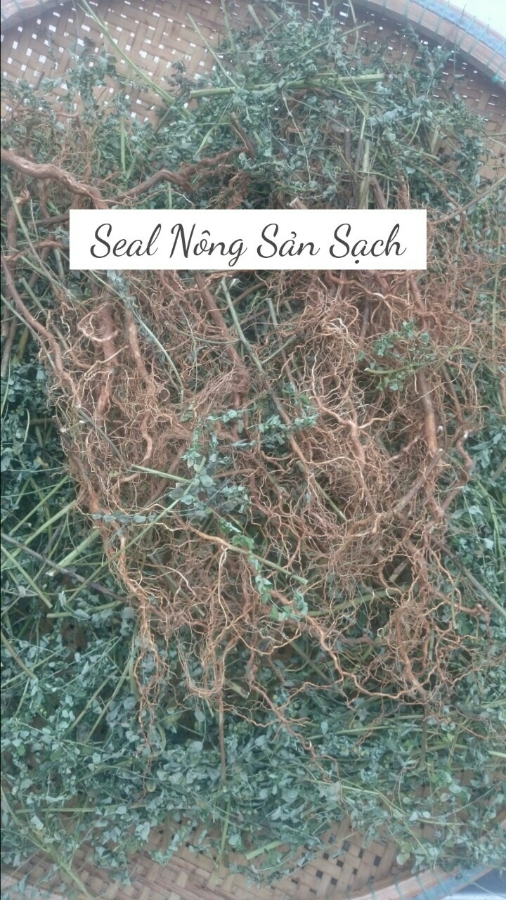DIỆP HẠ CHÂU (Cây chó đẻ răng cưa) 200g