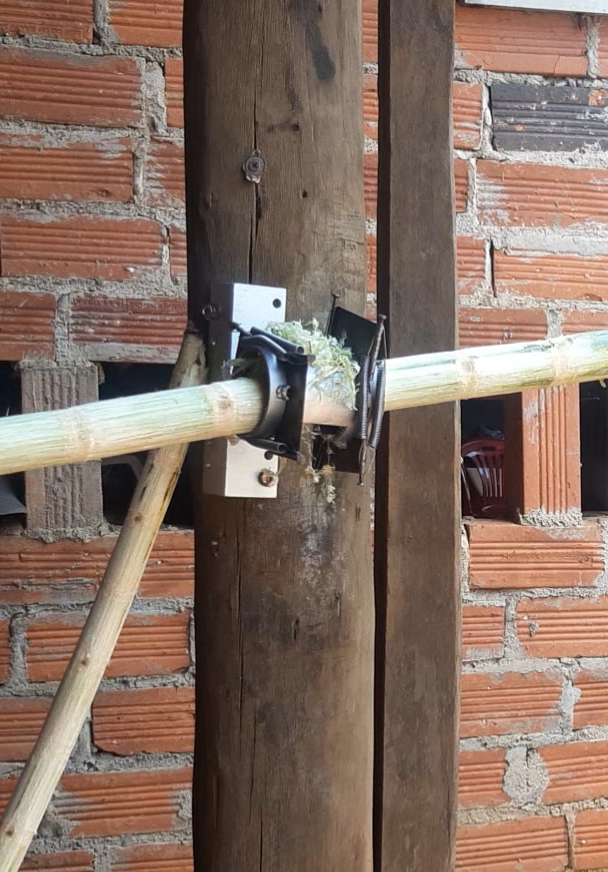 Dao cạo mía ống 4 lưỡi 60mm
